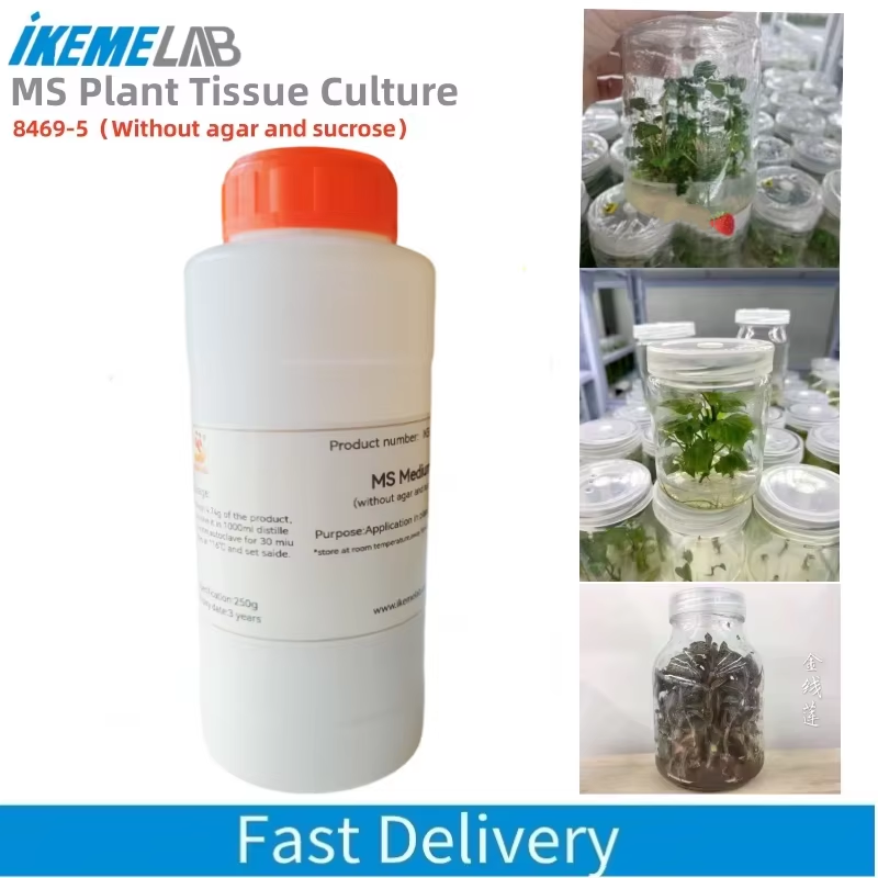 Agar Tissue Culture - IKEME 250g Lab MS Medium Without