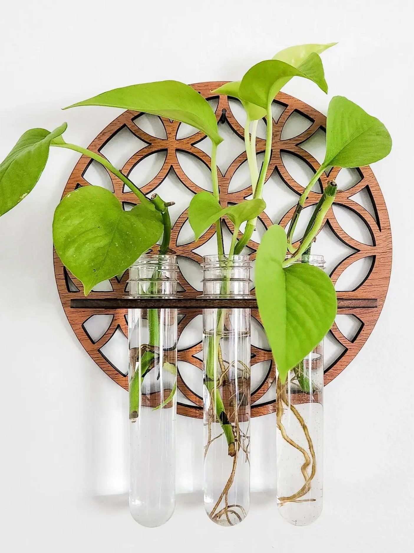 Propagation Station Vase - Garden Wall Planters Indoor Wooden Circle