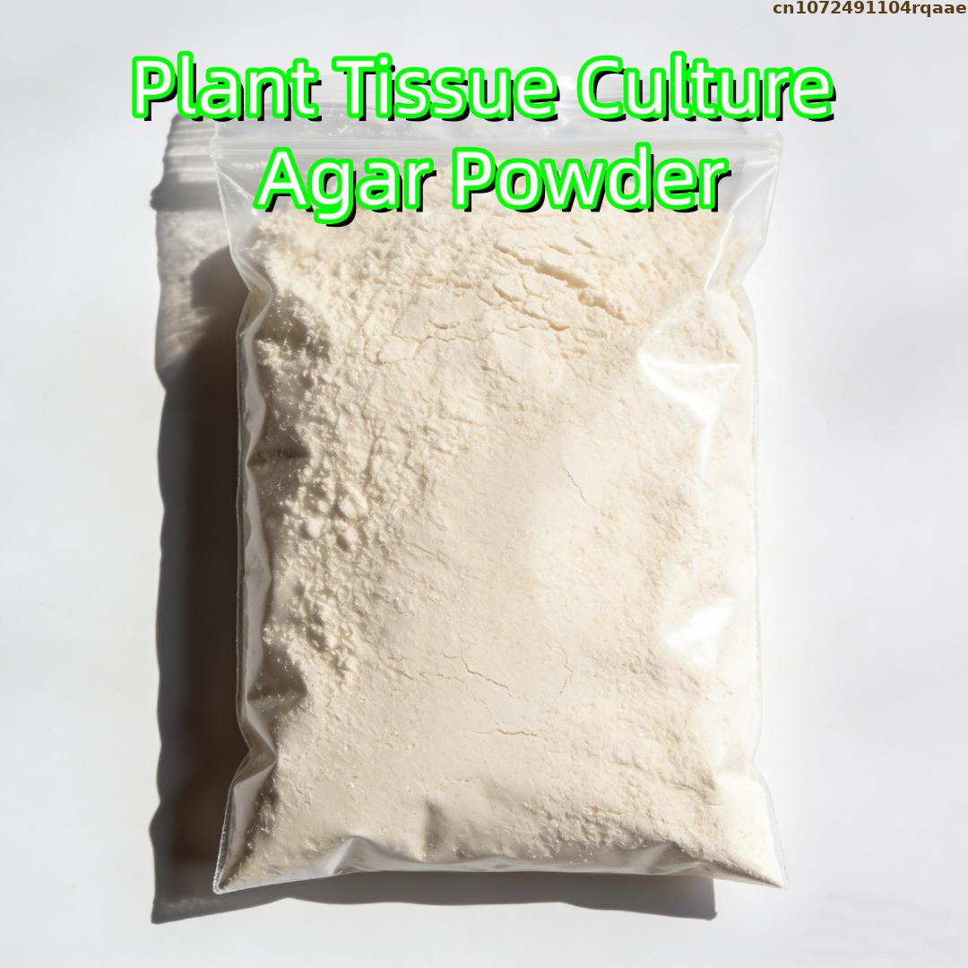Agar Tissue Culture - Premium Plant Tissue Culture Agar Powder