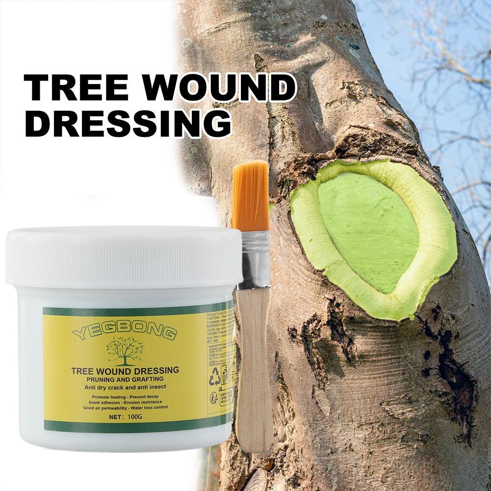 Rooting Hormone Powder - 100g Tree Grafting Paste Tree Wound