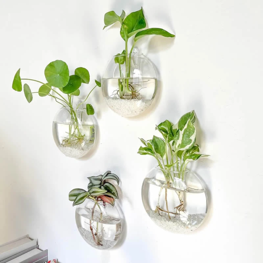 Propagation Station Vase - Wall Hanging Glass Plant Terrarium Container