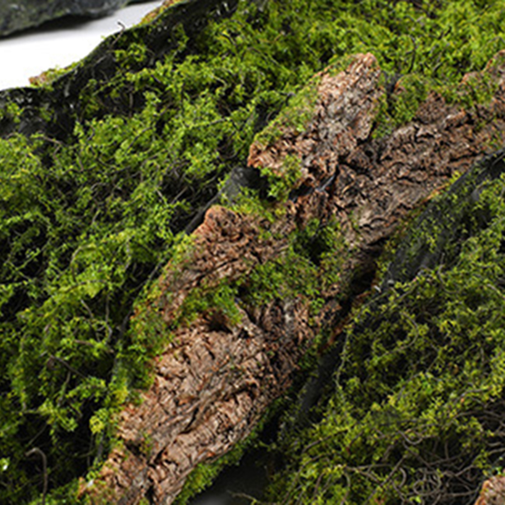 1 Imitation Bark Moss Planting - Sphagnum Moss Dry recension och pris