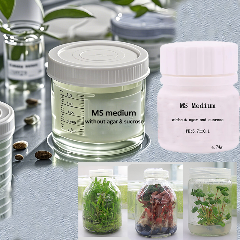 MS Medium Without Agar Or Sucr - Agar Tissue Culture recension och pris