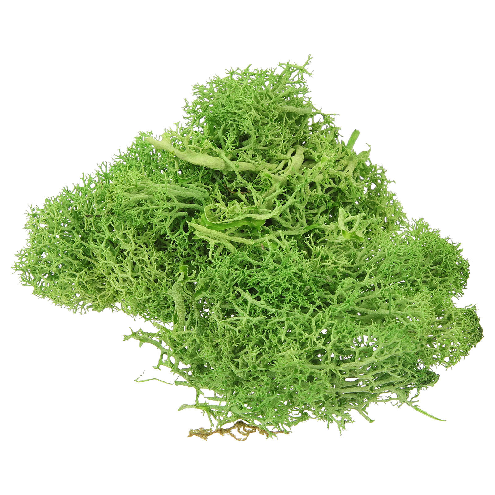 Brown Sphagnum Landscape Fake  - Sphagnum Moss Dry recension och pris