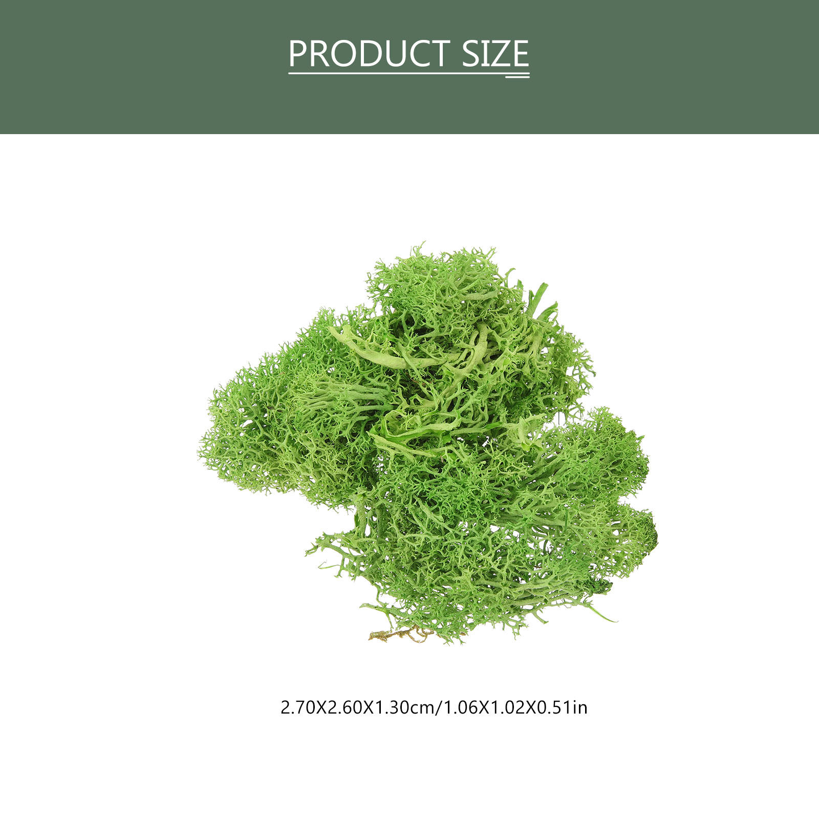 Brown Sphagnum Landscape Fake  - Sphagnum Moss Dry recension och pris