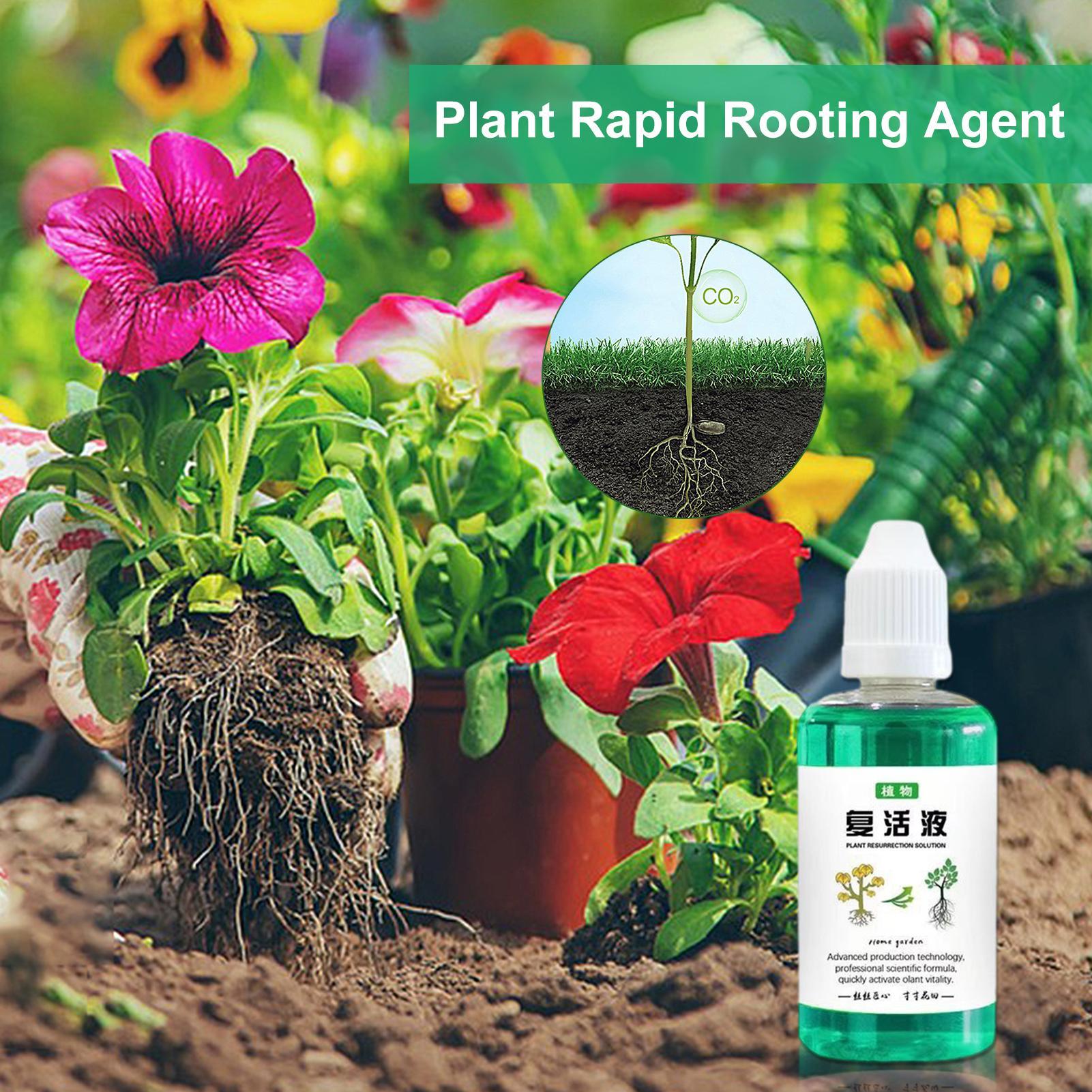 50ml Root Stimulator Plant Res - Root Stimulator Liquid recension och pris