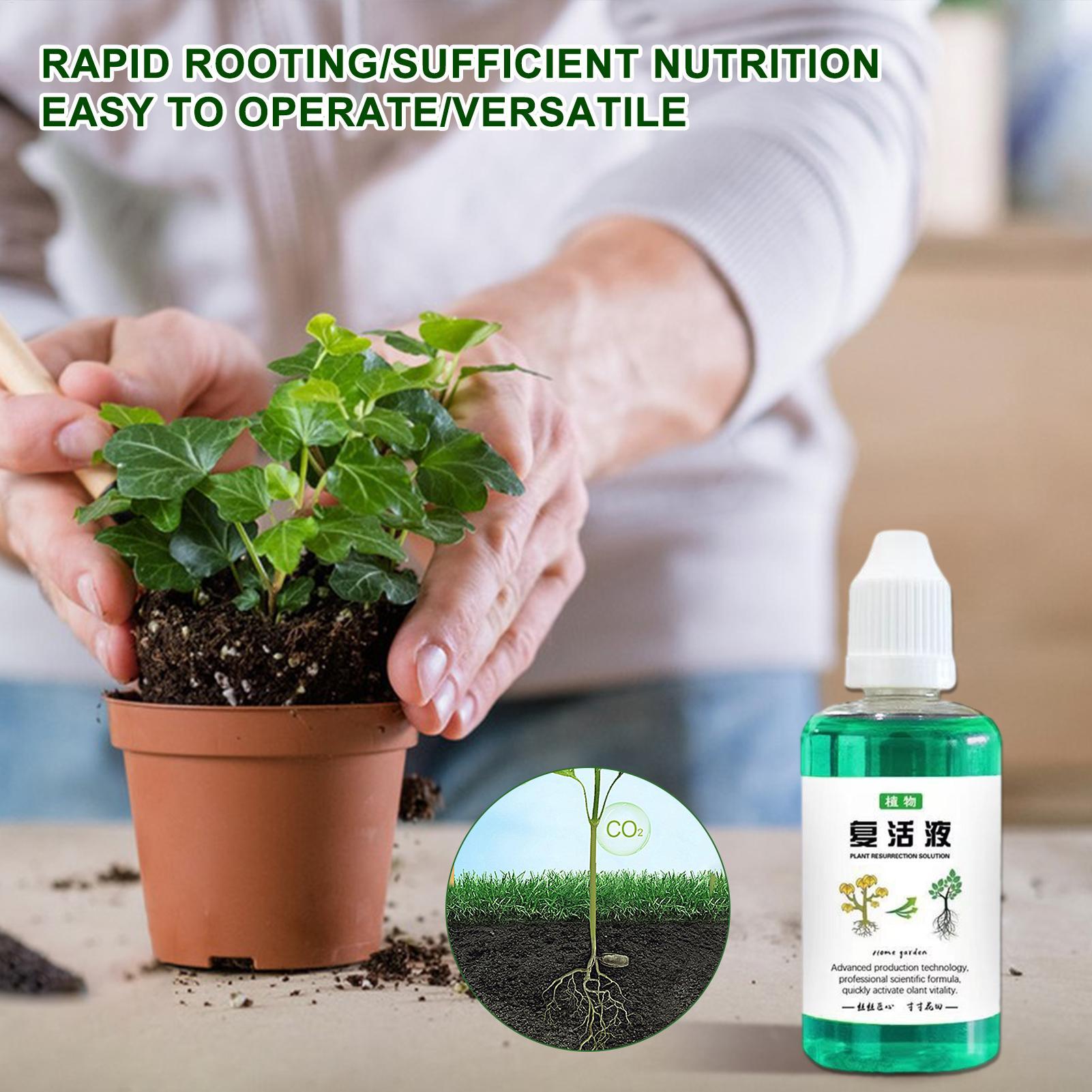 50ml Root Stimulator Plant Res - Root Stimulator Liquid recension och pris