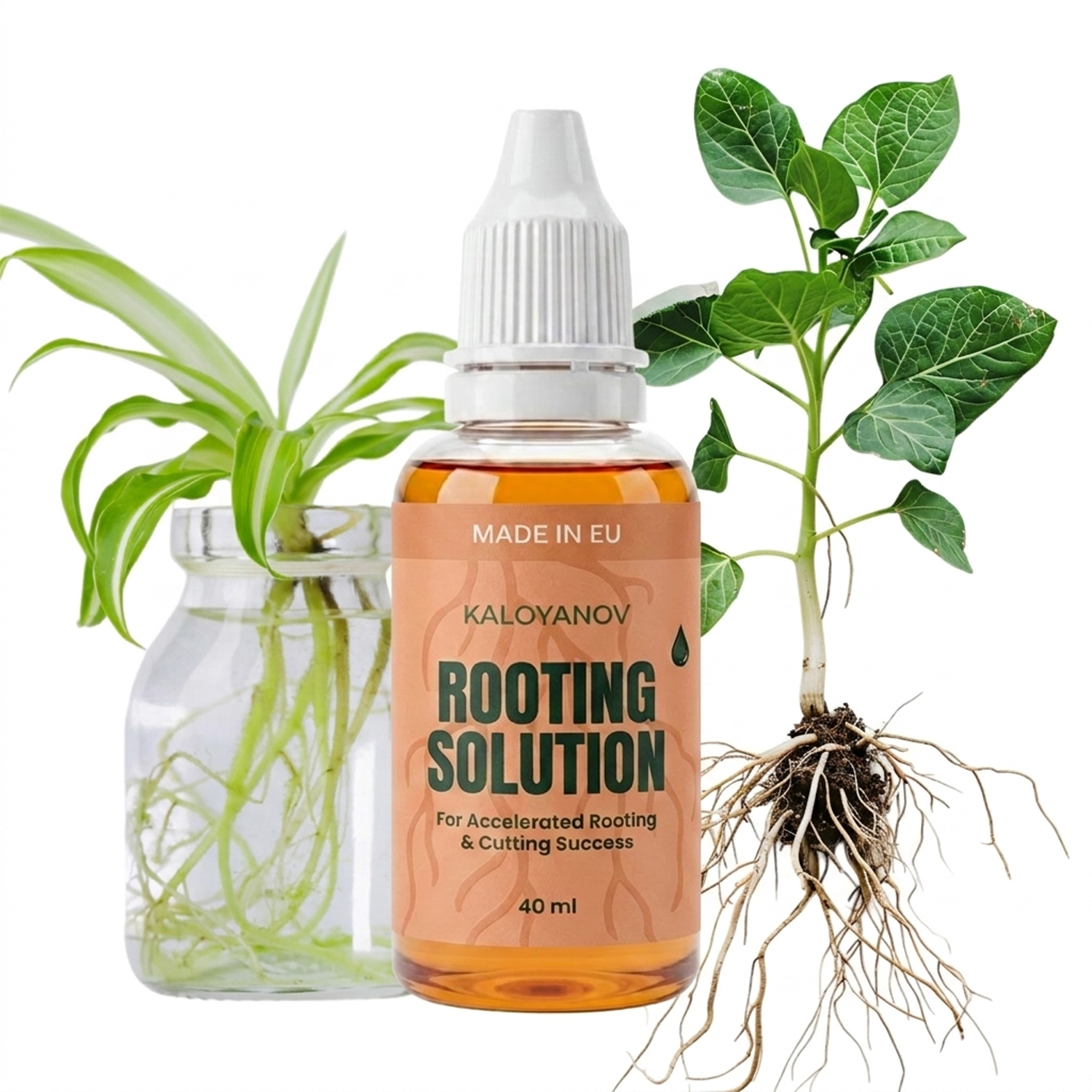 Root Drops Liquid Rooting Horm - Rooting Hormone Powder recension och pris