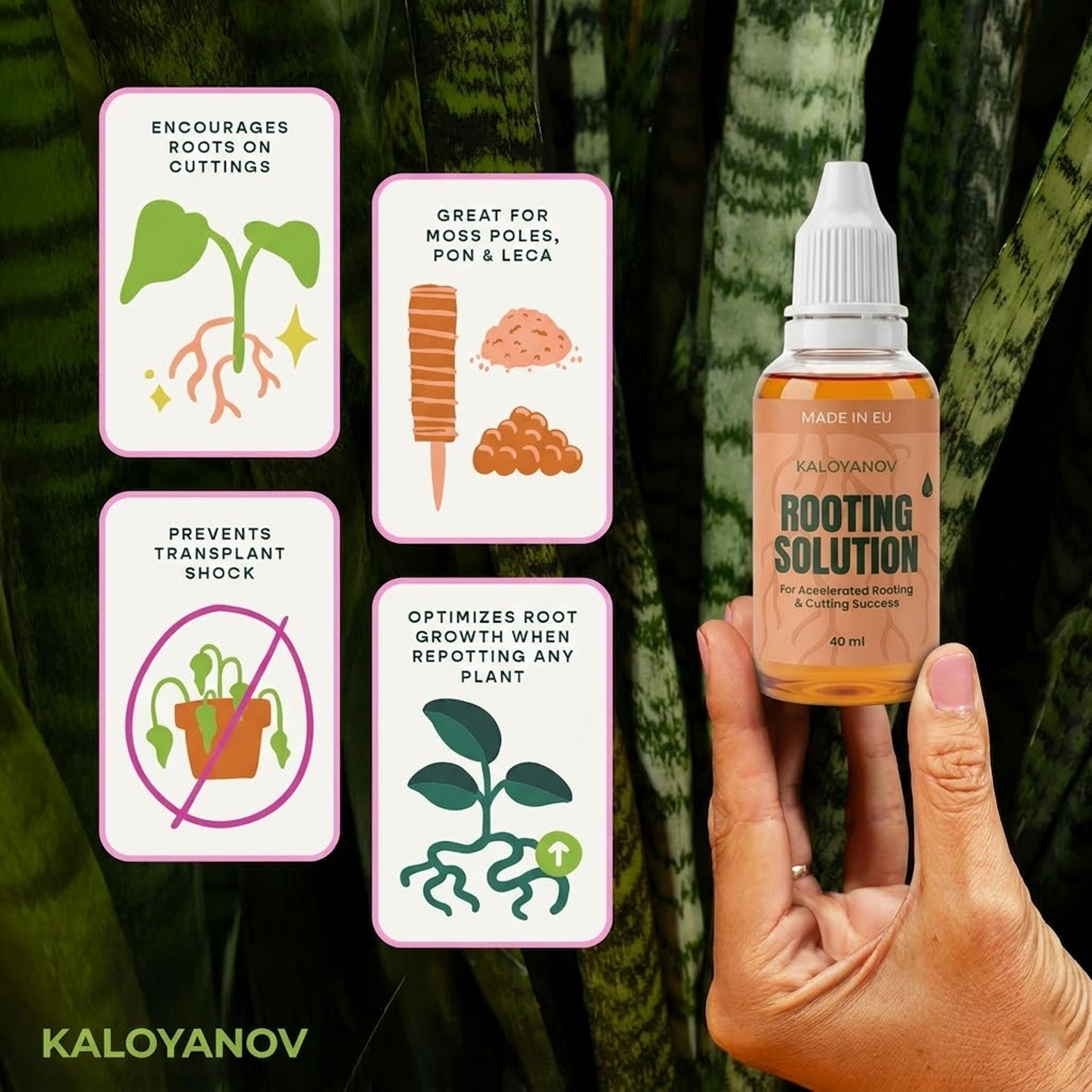 Root Drops Liquid Rooting Horm - Rooting Hormone Powder recension och pris