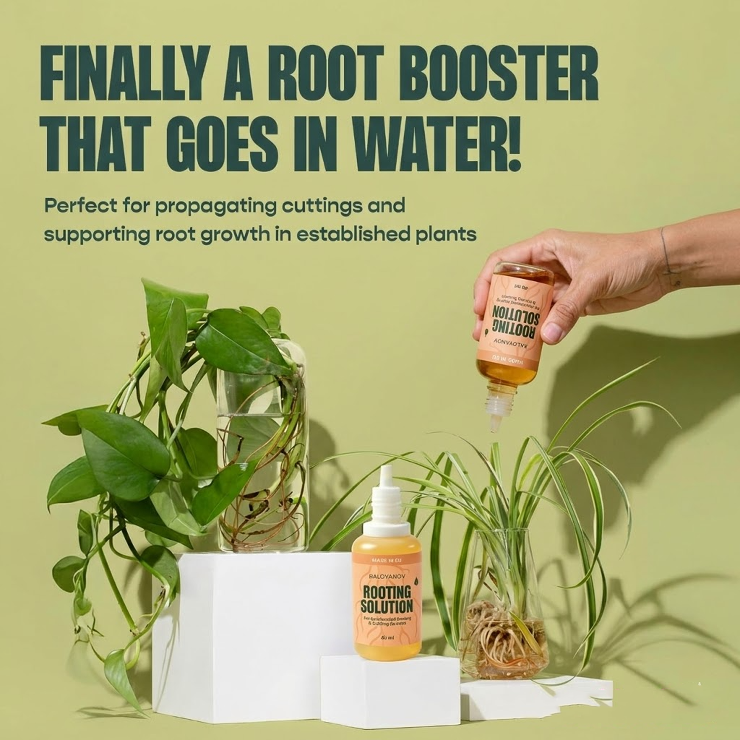 Root Drops Liquid Rooting Horm - Rooting Hormone Powder recension och pris