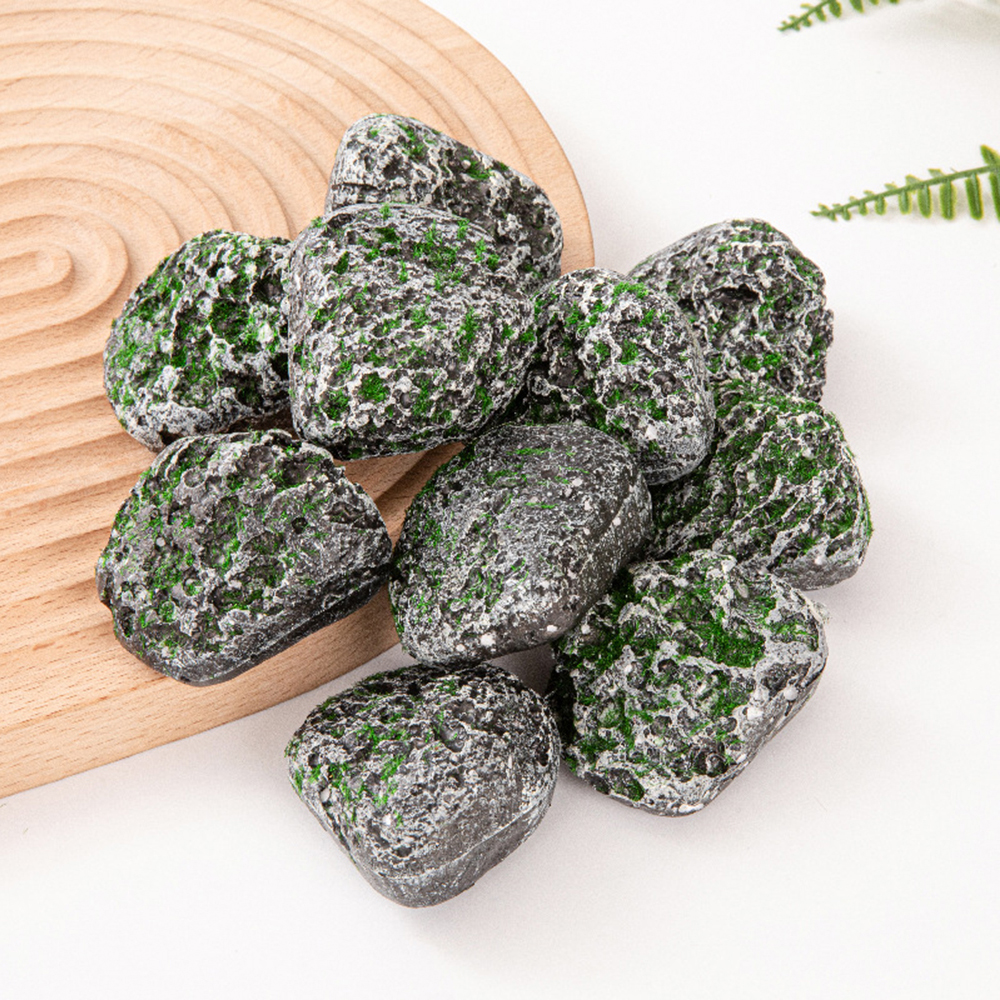 10PCS Mossy Gray Stone Multi-s - Sphagnum Moss Dry recension och pris