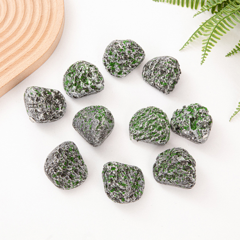 10PCS Mossy Gray Stone Multi-s - Sphagnum Moss Dry recension och pris