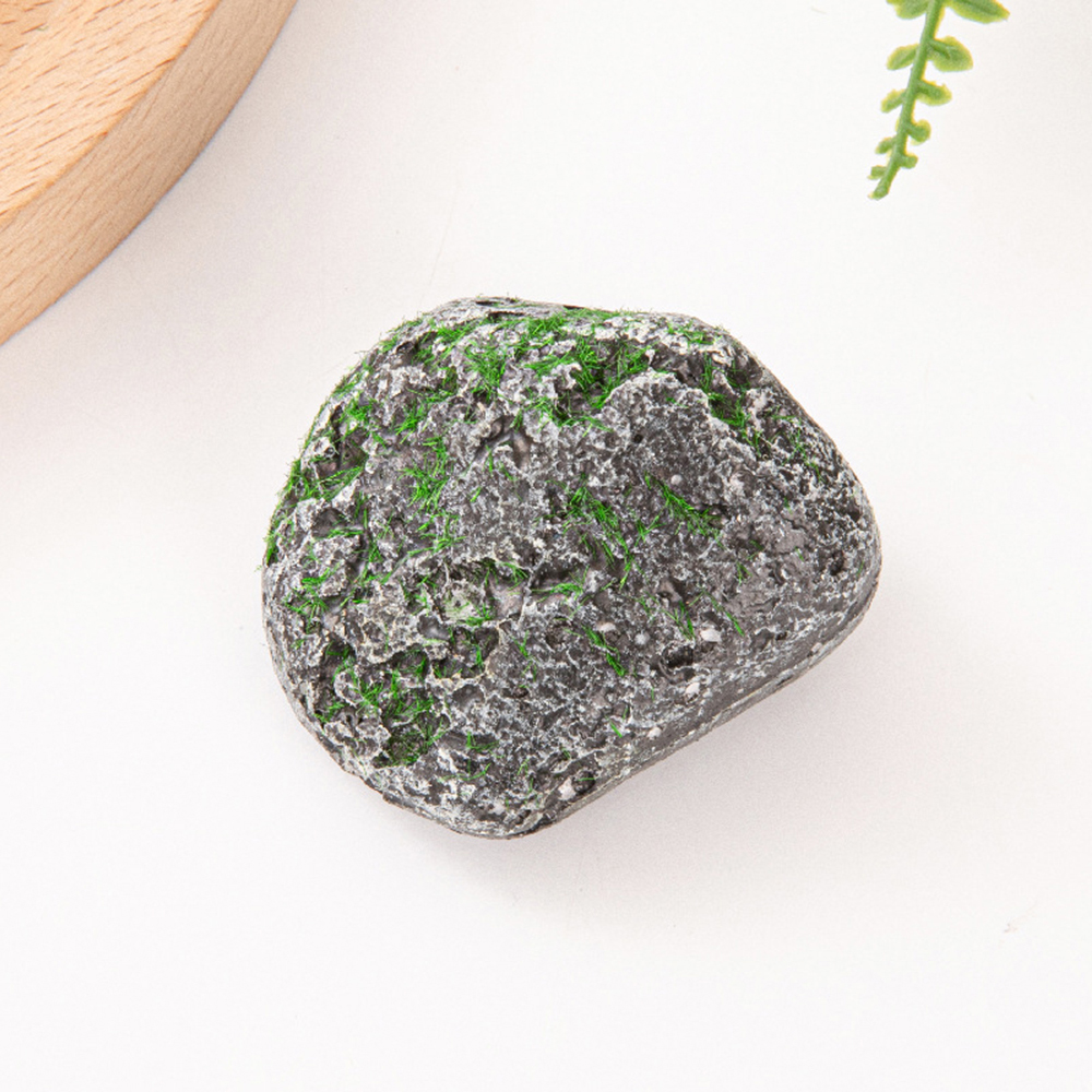 10PCS Mossy Gray Stone Multi-s - Sphagnum Moss Dry recension och pris