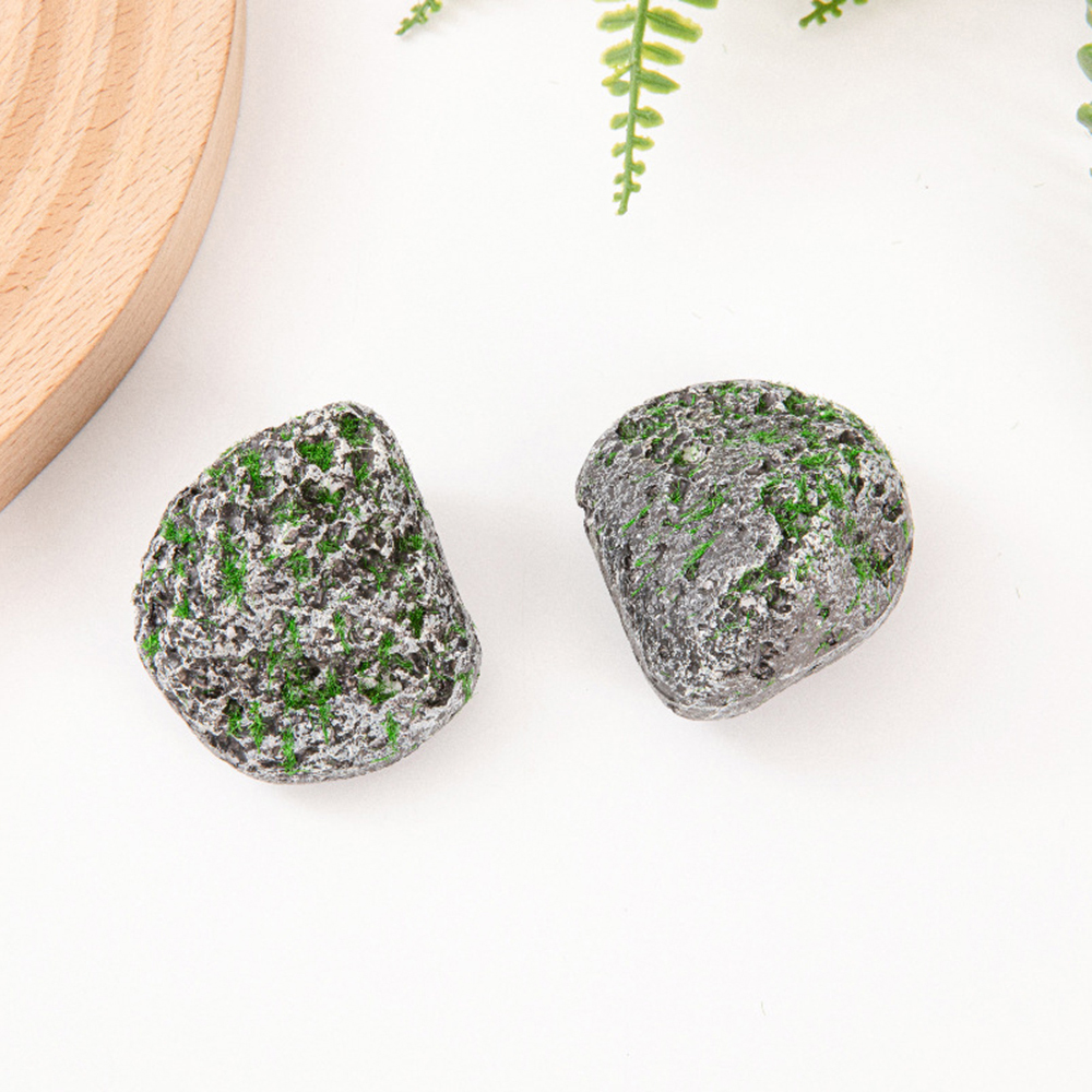 10PCS Mossy Gray Stone Multi-s - Sphagnum Moss Dry recension och pris