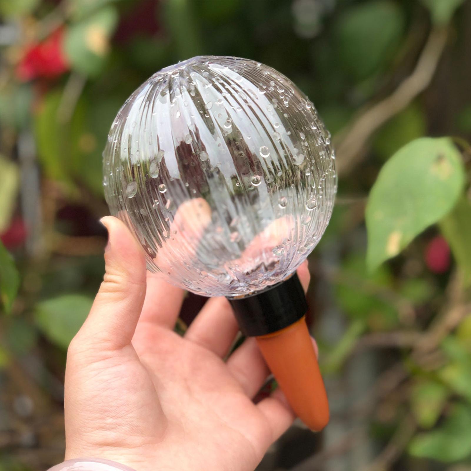 Self Watering Planter Insert 5 - Self Watering Insert recension och pris