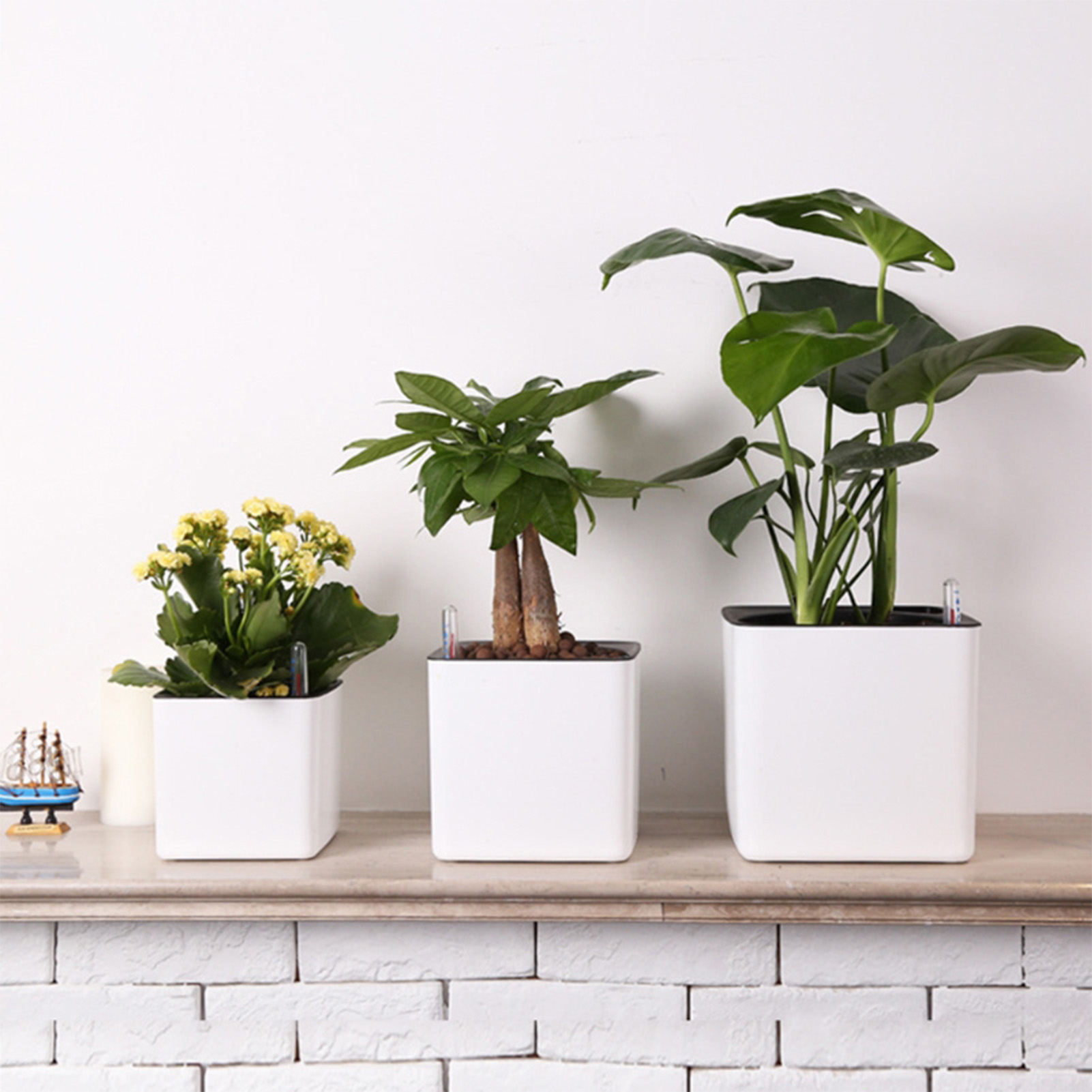 Automatic Self Watering Flower - Self Watering Insert recension och pris