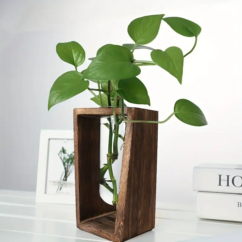 Modern Wood Propagation Vase - - Propagation Station Vase recension och pris