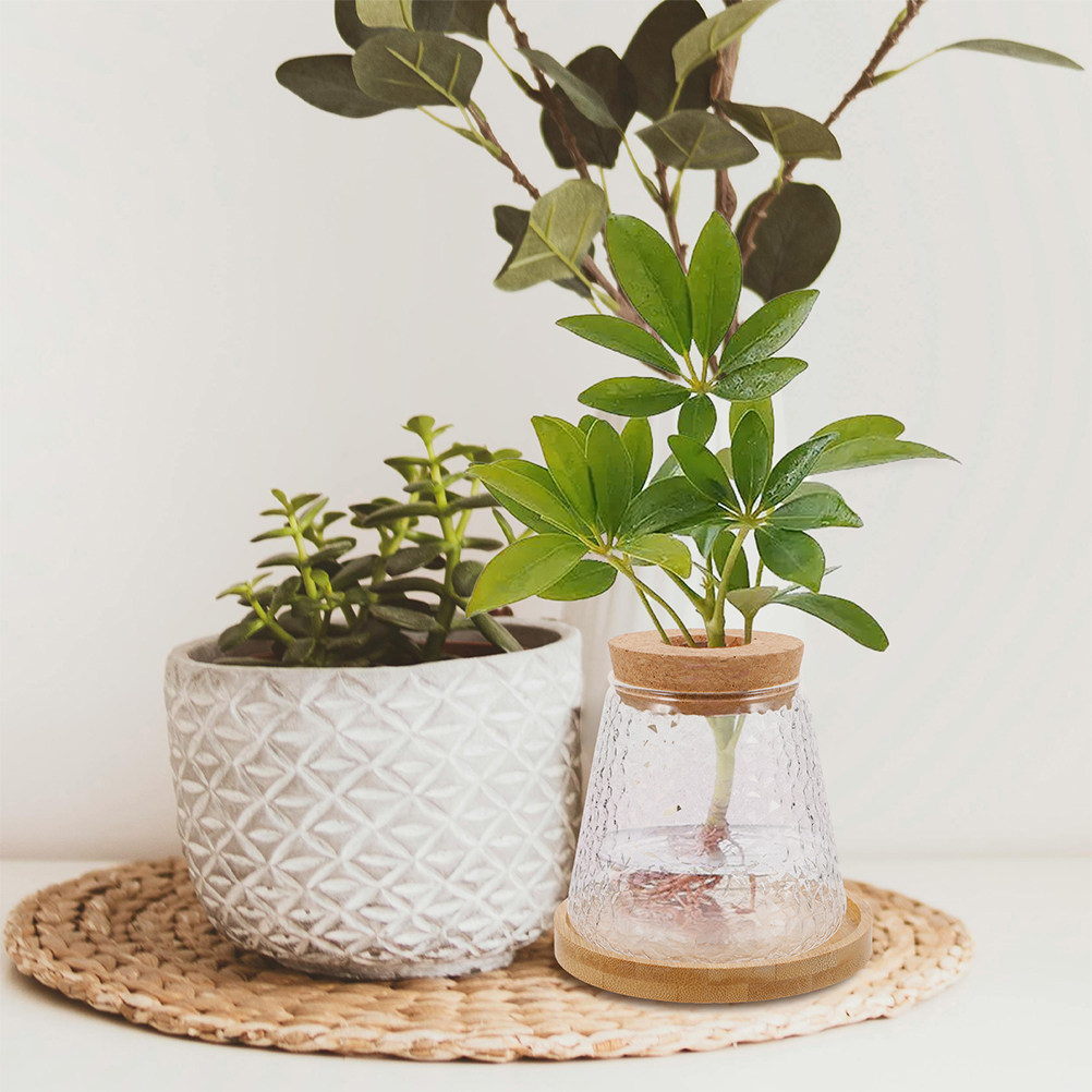 2Pcs Glass Hydroponic Vase Vol - Propagation Station Vase recension och pris