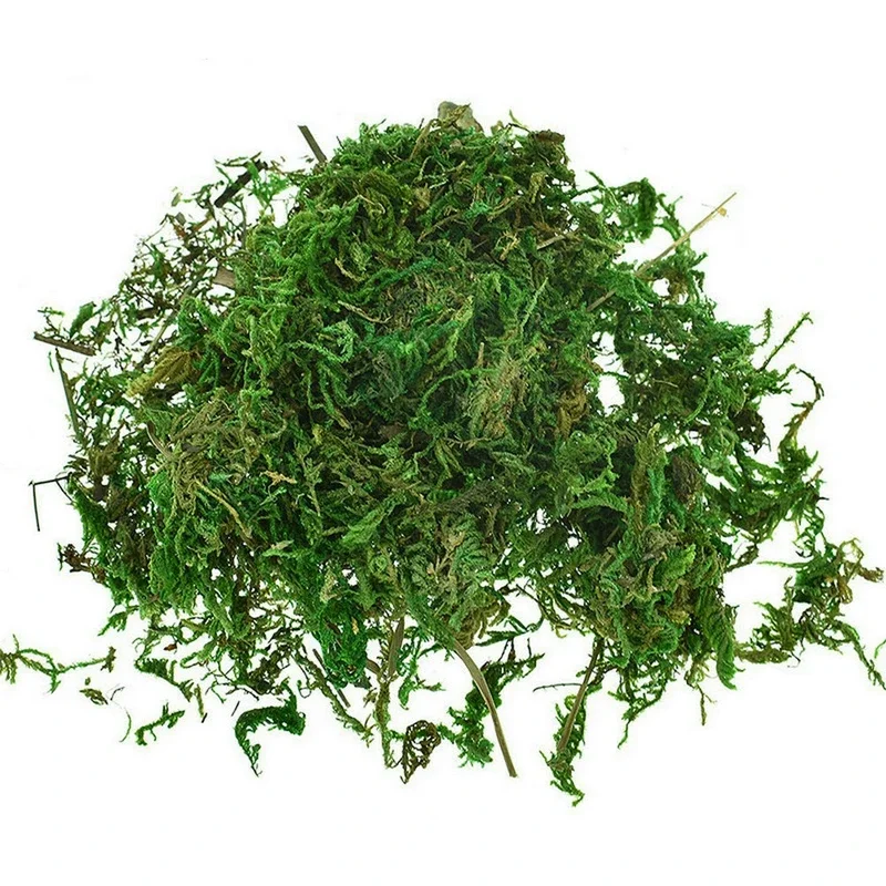 800G Dry Real Green Moss Decor - Sphagnum Moss Dry recension och pris
