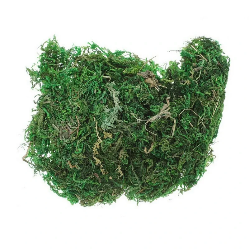 800G Dry Real Green Moss Decor - Sphagnum Moss Dry recension och pris