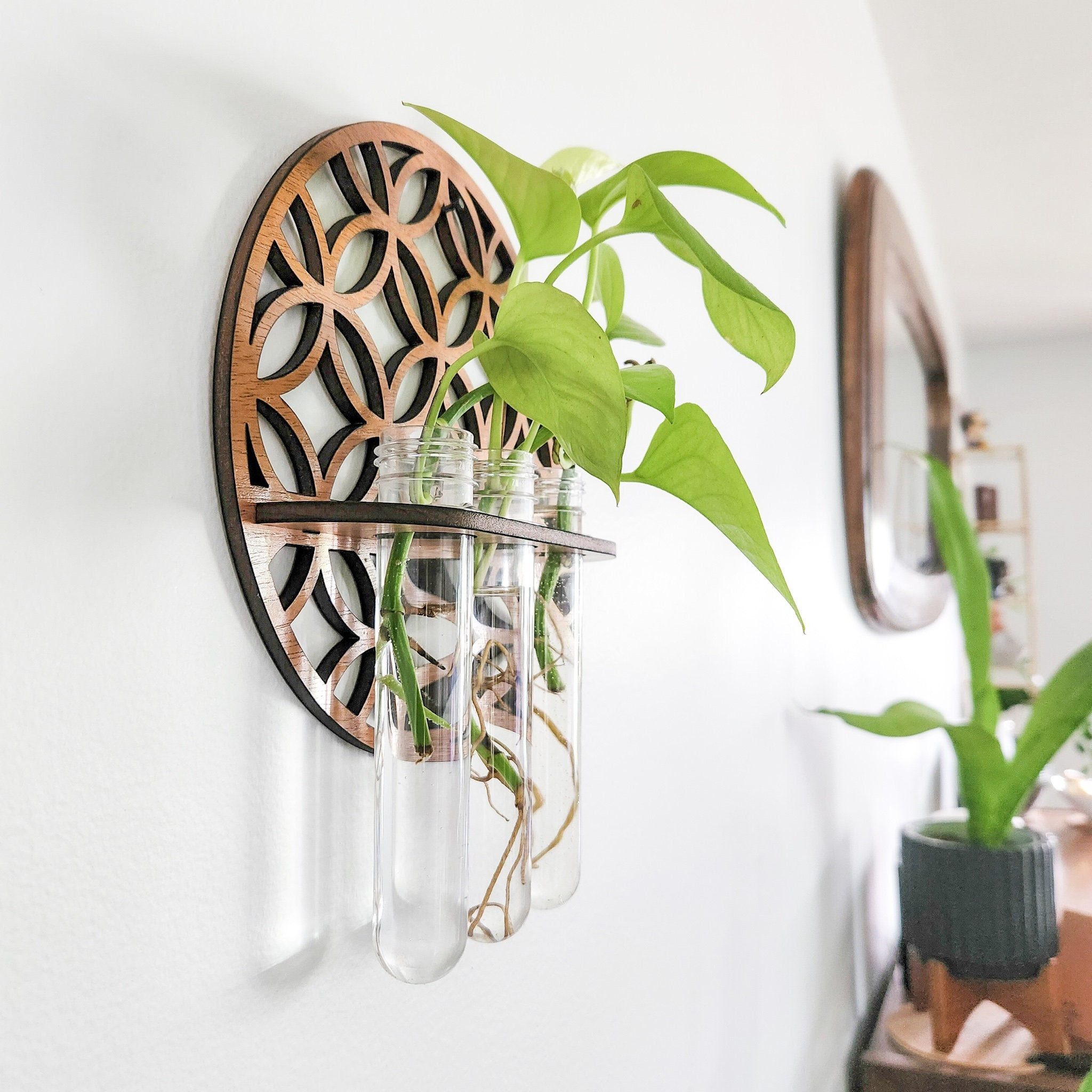 Garden Wall Planters Indoor Wo - Propagation Station Vase recension och pris