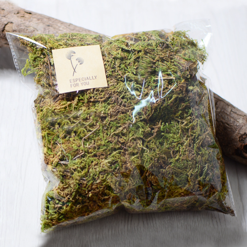 100g High Quality Artificial M - Sphagnum Moss Dry recension och pris