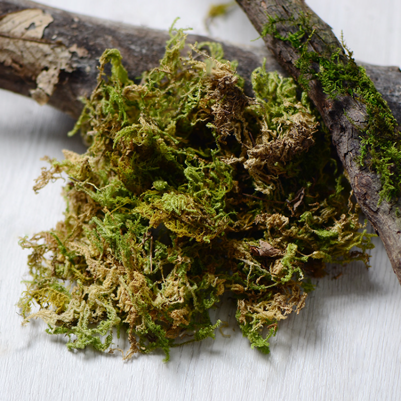 100g High Quality Artificial M - Sphagnum Moss Dry recension och pris