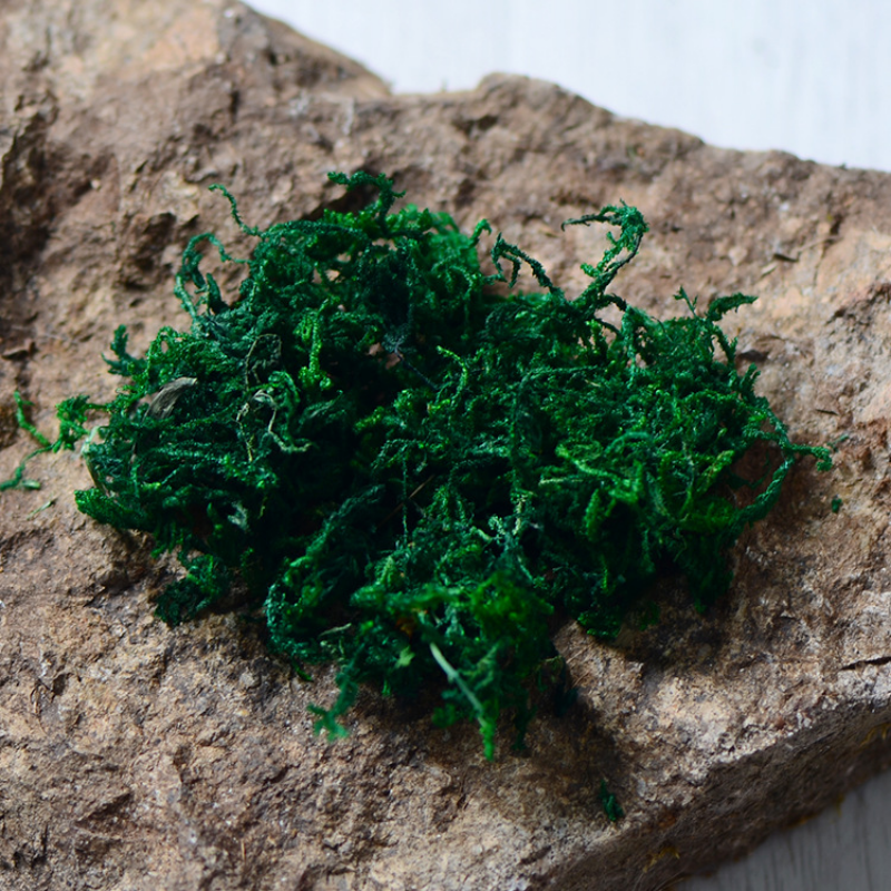 100g High Quality Artificial M - Sphagnum Moss Dry recension och pris