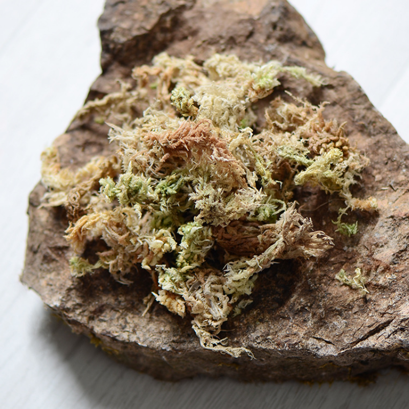 100g High Quality Artificial M - Sphagnum Moss Dry recension och pris