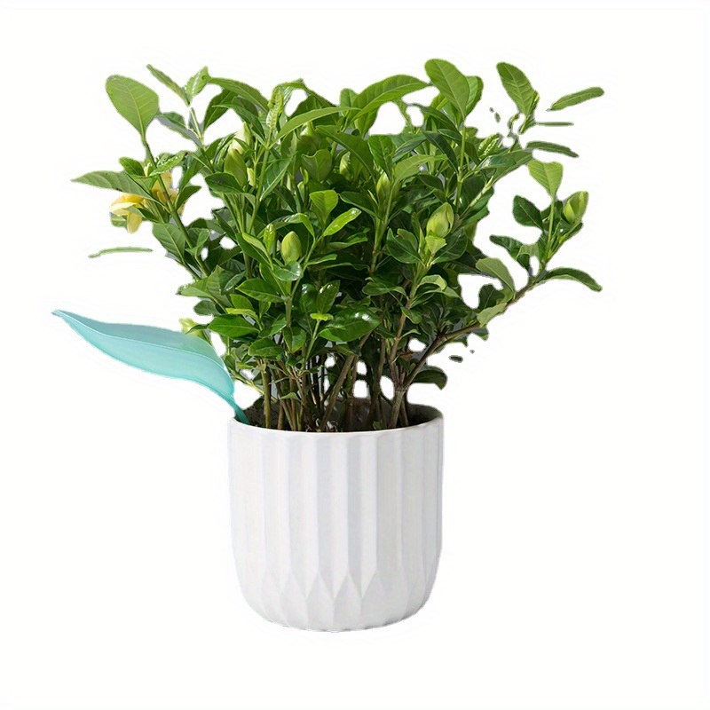 Creative Potted Foliage Divers - Self Watering Insert recension och pris