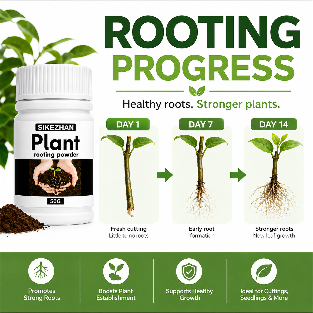 50g Rapid Rooting Powder Plant - Rooting Hormone Powder recension och pris