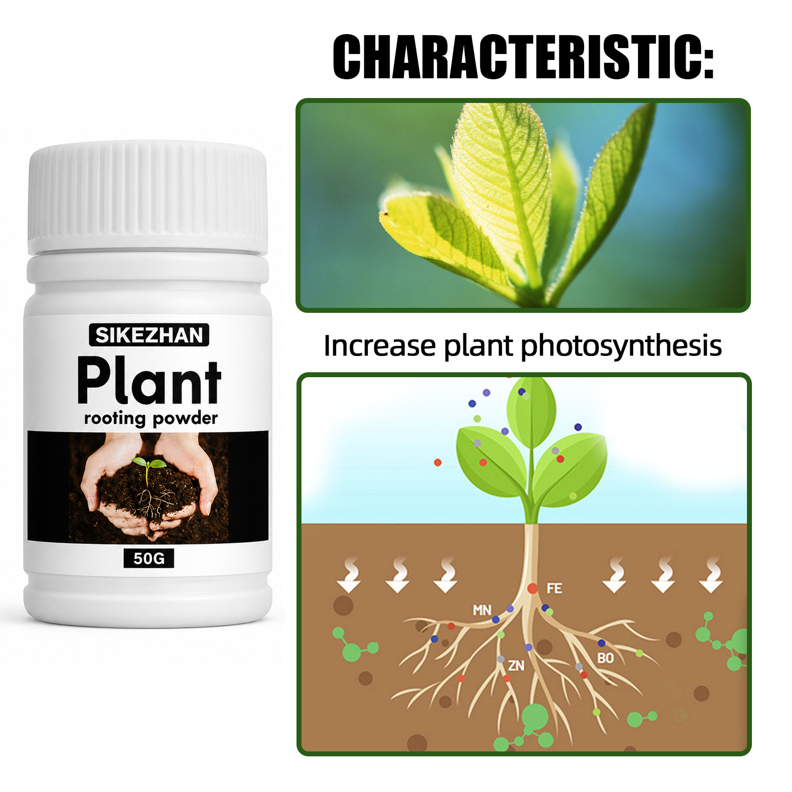 50g Rapid Rooting Powder Plant - Rooting Hormone Powder recension och pris