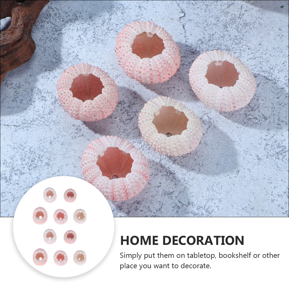 10Pcs DIY Jewelry Making Sea S - Propagation Station Vase recension och pris