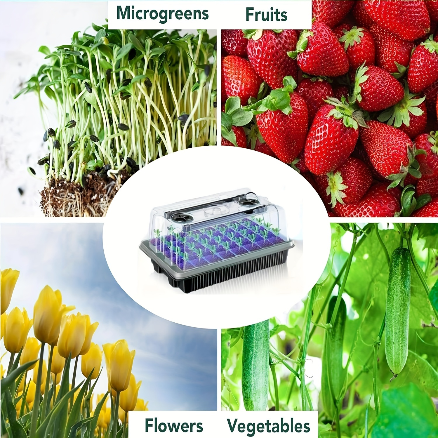 40/Cell Seed Starter Kit with  - Humidity Dome Kit recension och pris