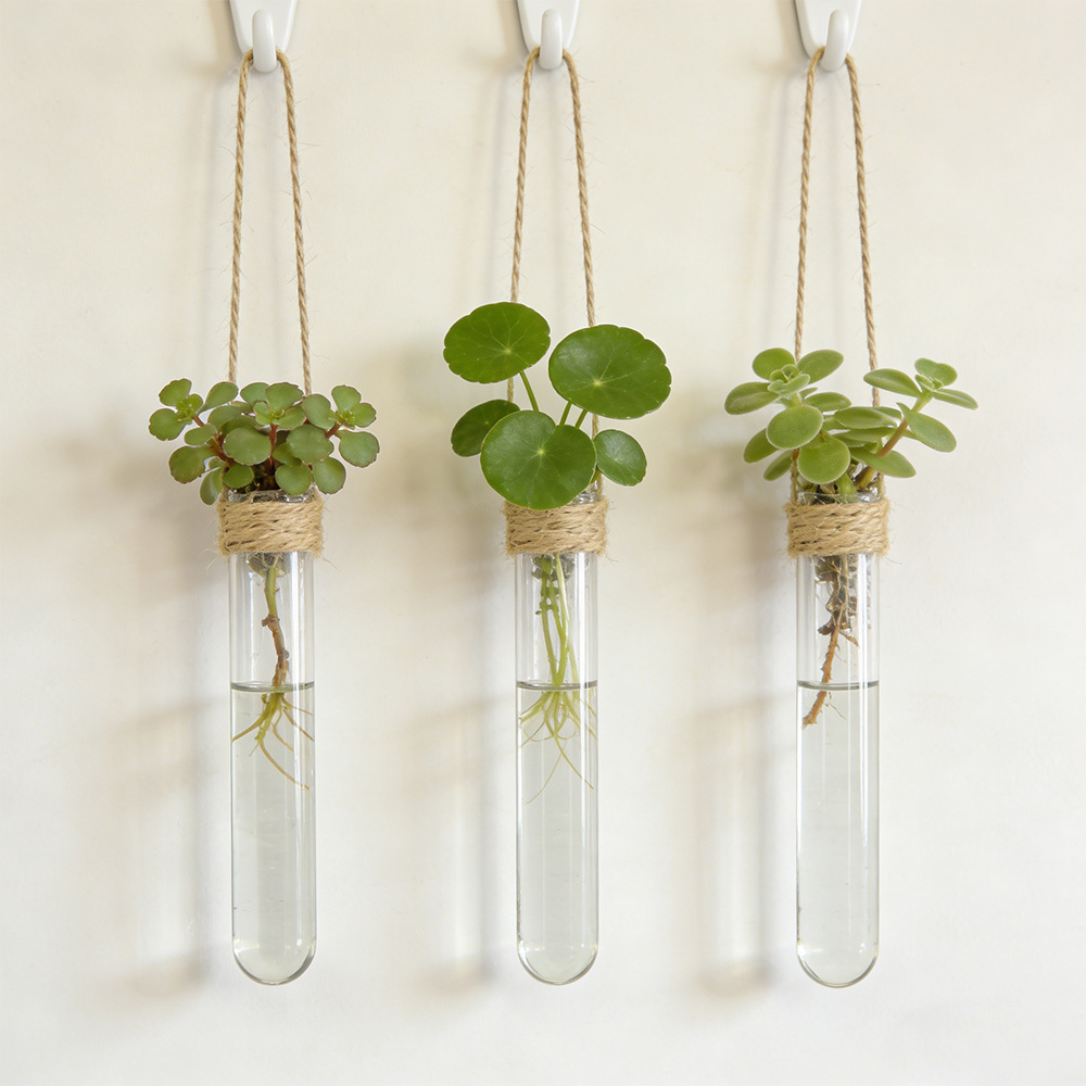 Hydroponic Flower Vase Wall-Mo - Propagation Station Vase recension och pris