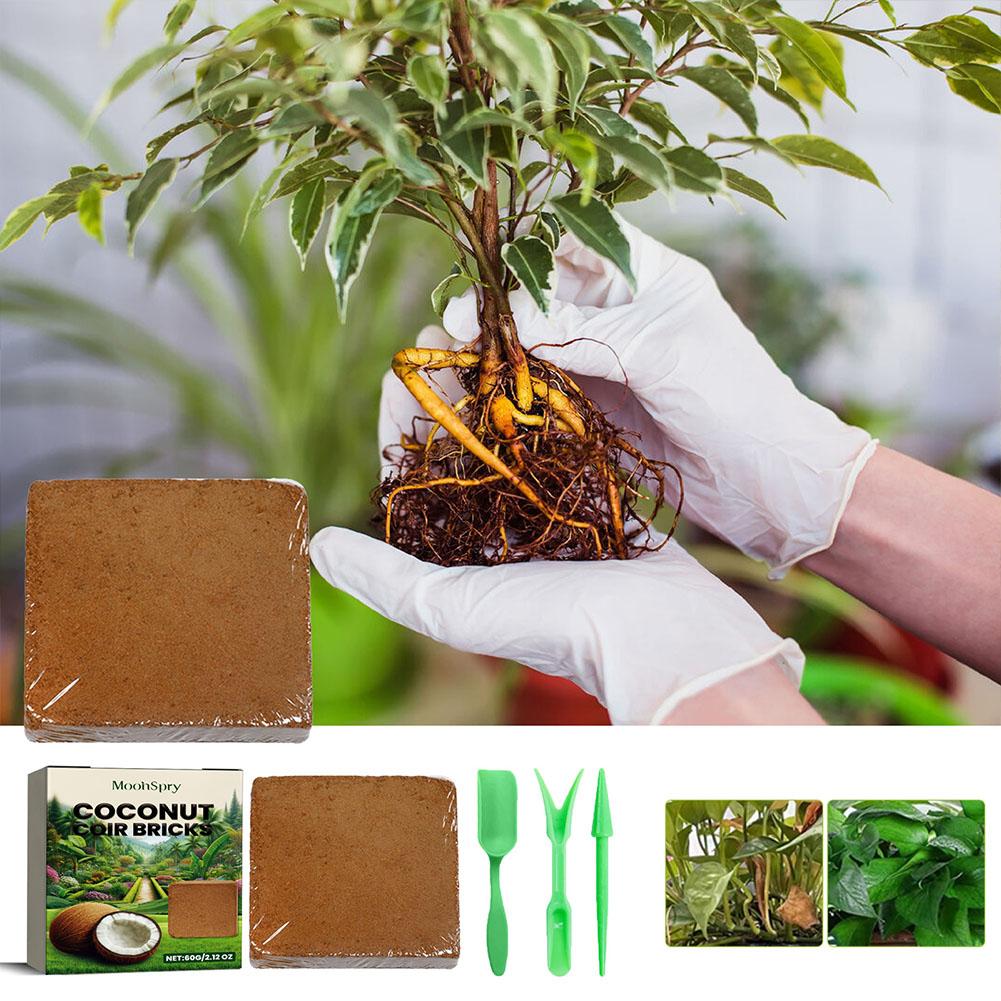 Coconut Coir Fiber Brick - Org - Sphagnum Moss Dry recension och pris