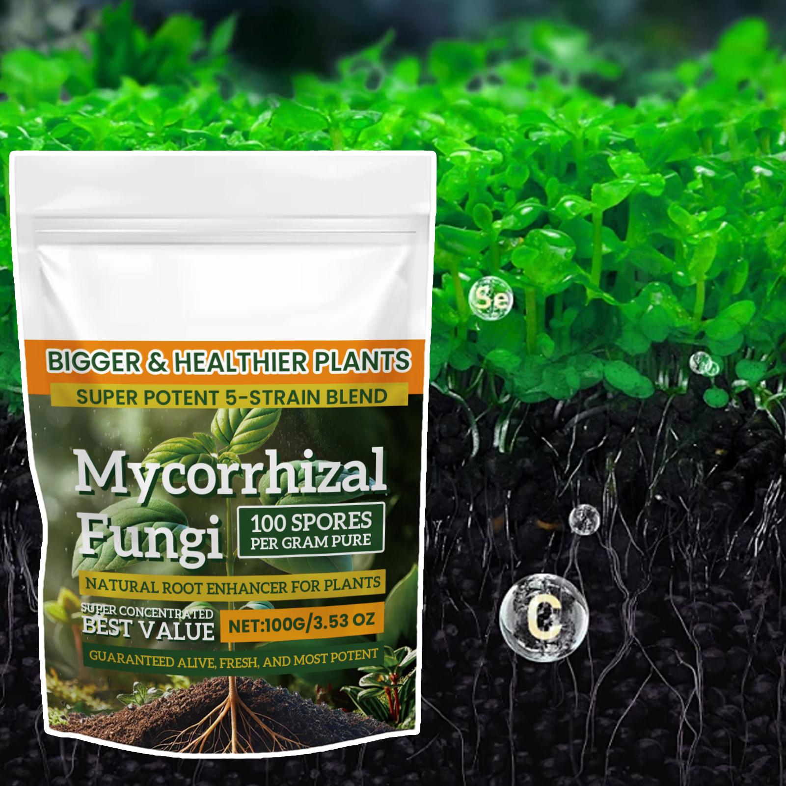 100g Plant Nutrient Powder Pla - Rooting Hormone Powder recension och pris