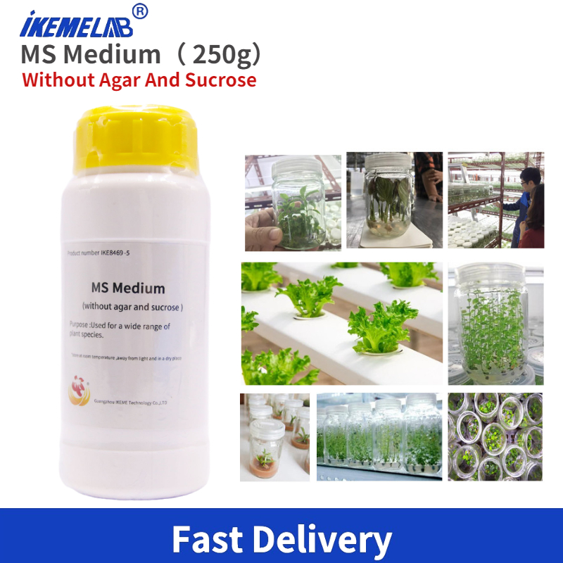 IKEME Lab MS Medium 250g Witho - Agar Tissue Culture recension och pris