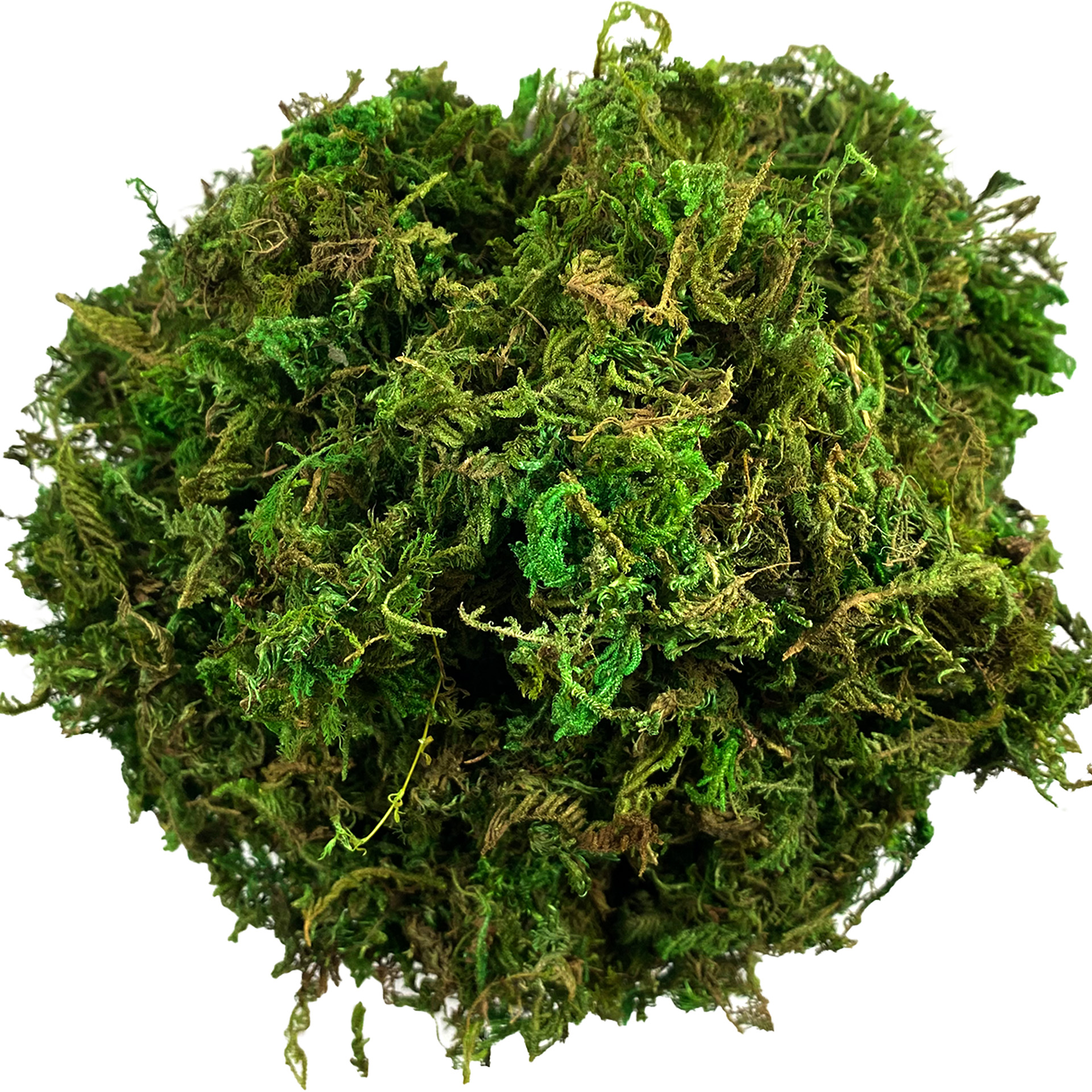 Artificial Moss Green for Pott - Sphagnum Moss Dry recension och pris