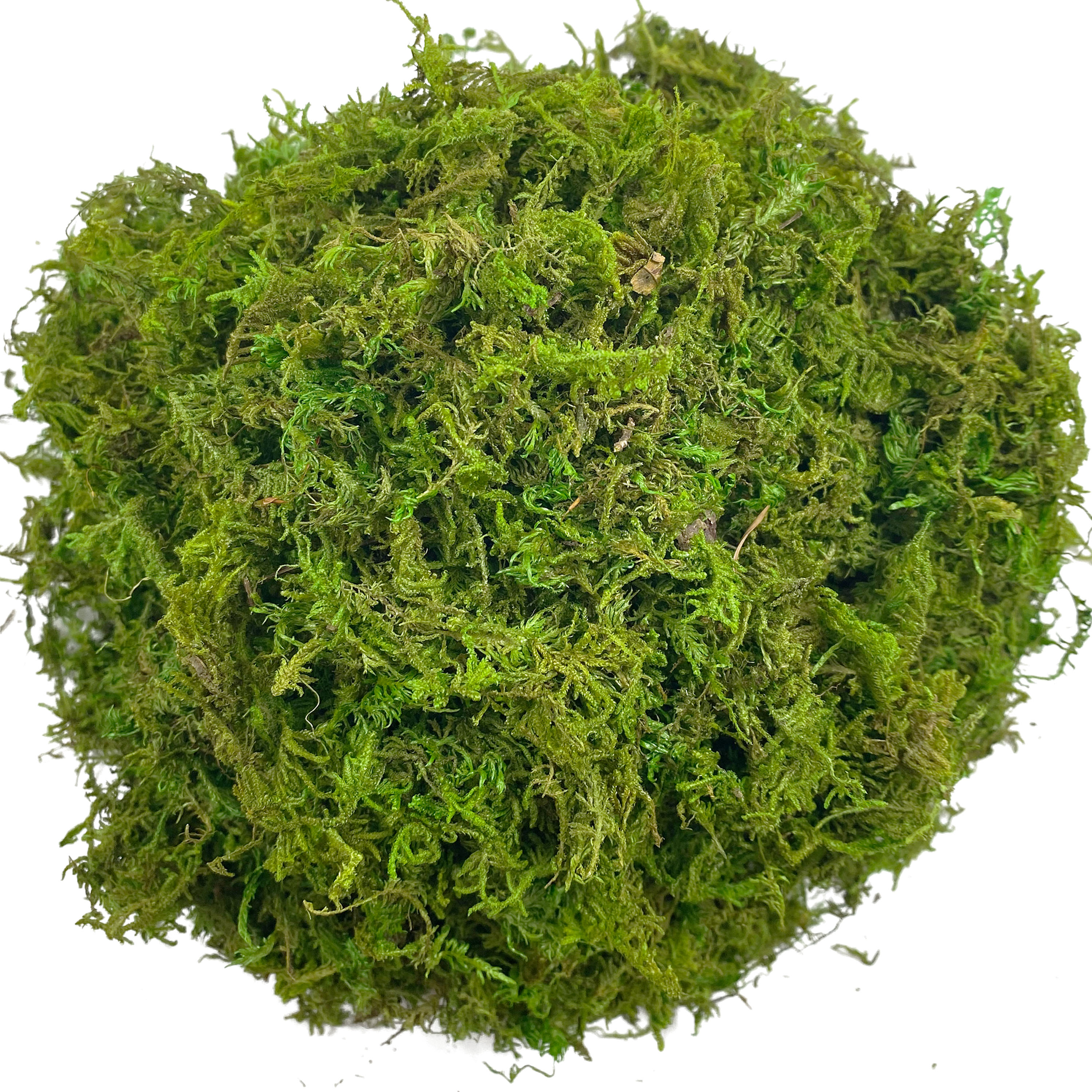 Artificial Moss Green for Pott - Sphagnum Moss Dry recension och pris