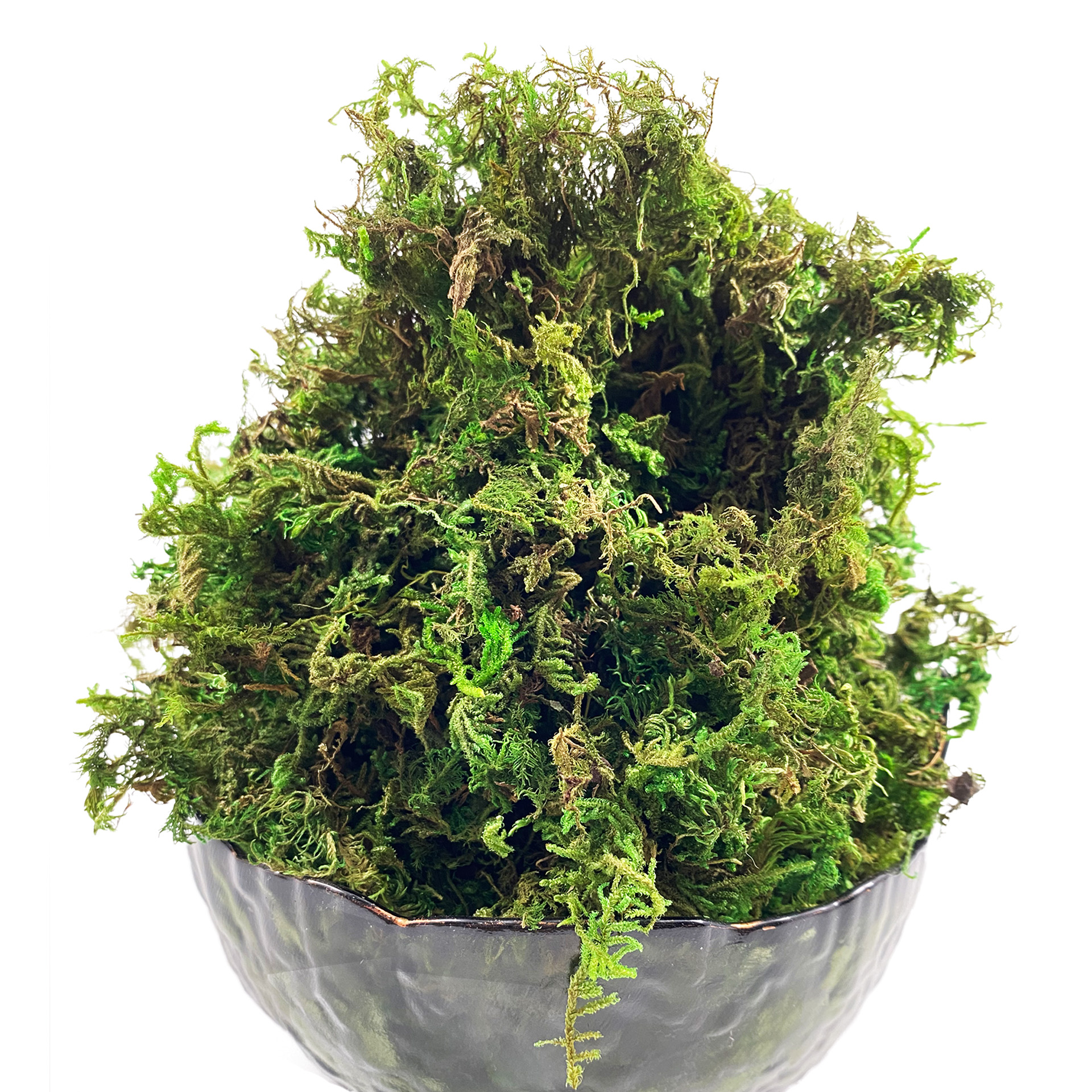 Artificial Moss Green for Pott - Sphagnum Moss Dry recension och pris