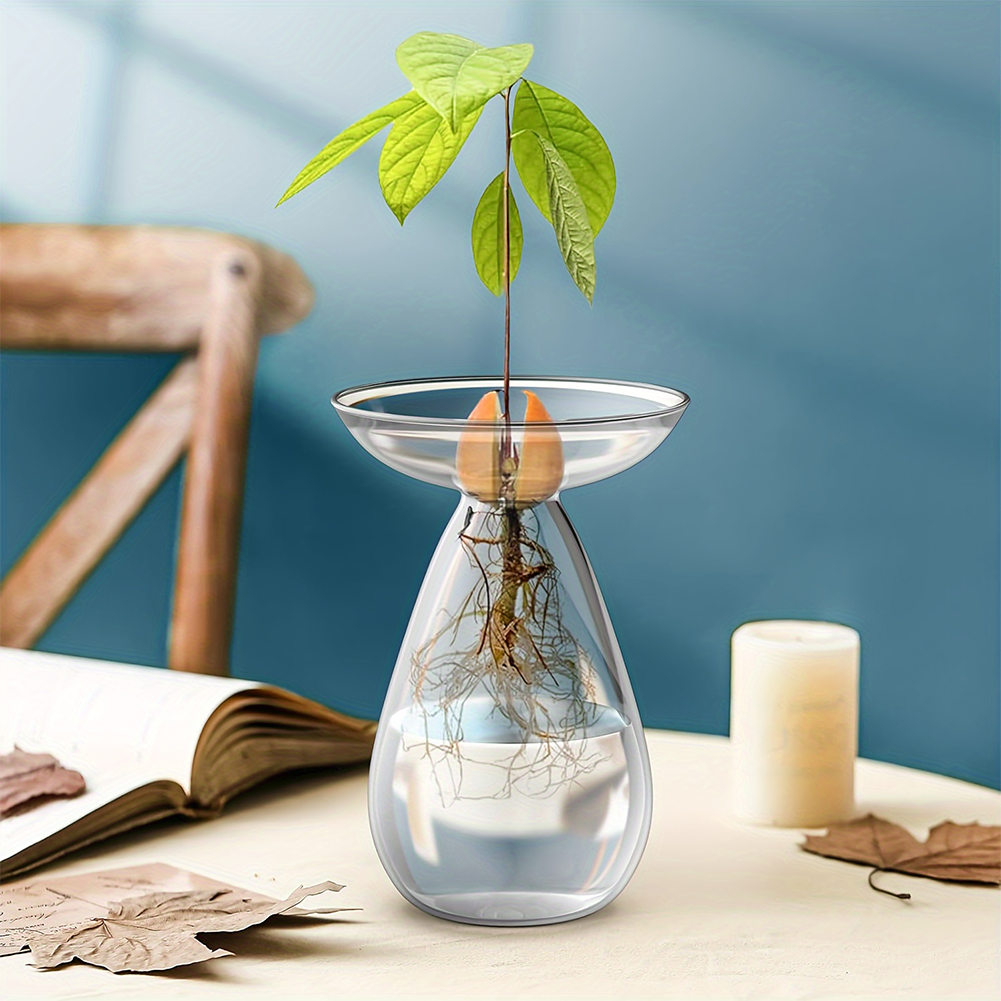 Avocado Seed Starter Hydroponi - Propagation Station Vase recension och pris