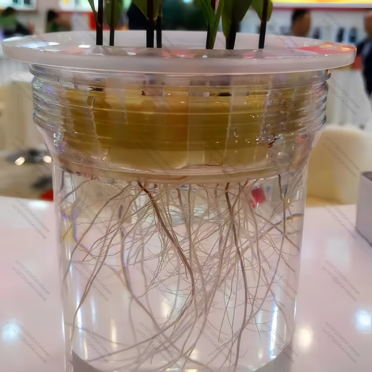 NAA 98% TC 1-Naphthaleneacetic - Rooting Hormone Powder recension och pris