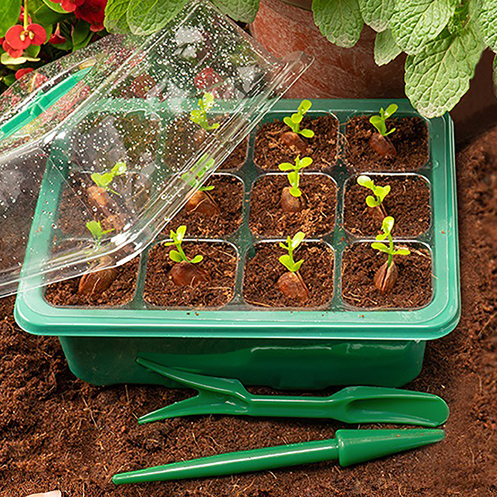 Seed Starter Trays with Grow L - Humidity Dome Kit recension och pris
