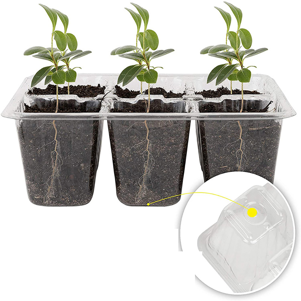 Seed Starter Trays with Grow L - Humidity Dome Kit recension och pris