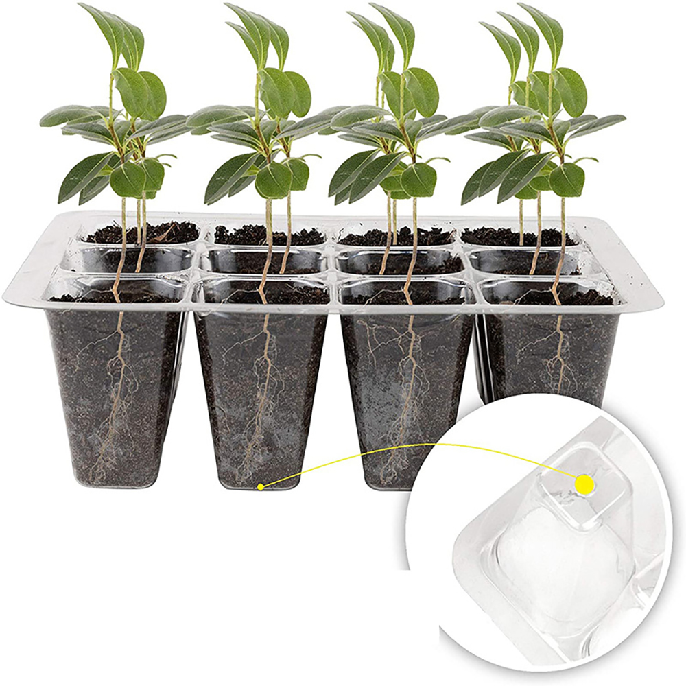 Seed Starter Trays with Grow L - Humidity Dome Kit recension och pris