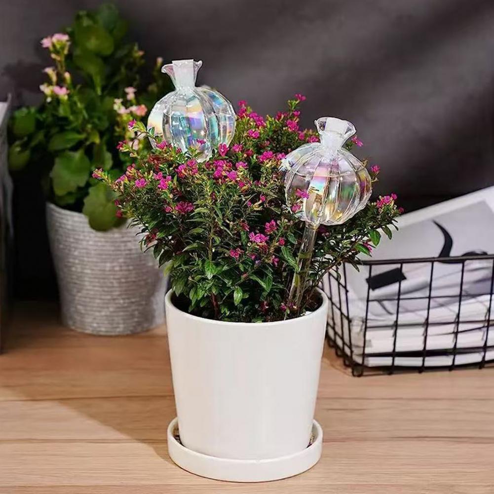 24cm Cactus Self Watering Bulb - Self Watering Insert recension och pris