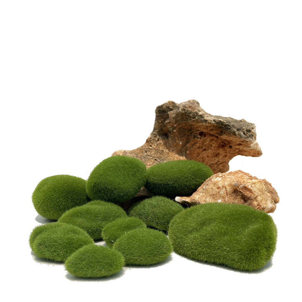Artificial Fake Moss Rock Eter - Sphagnum Moss Dry recension och pris