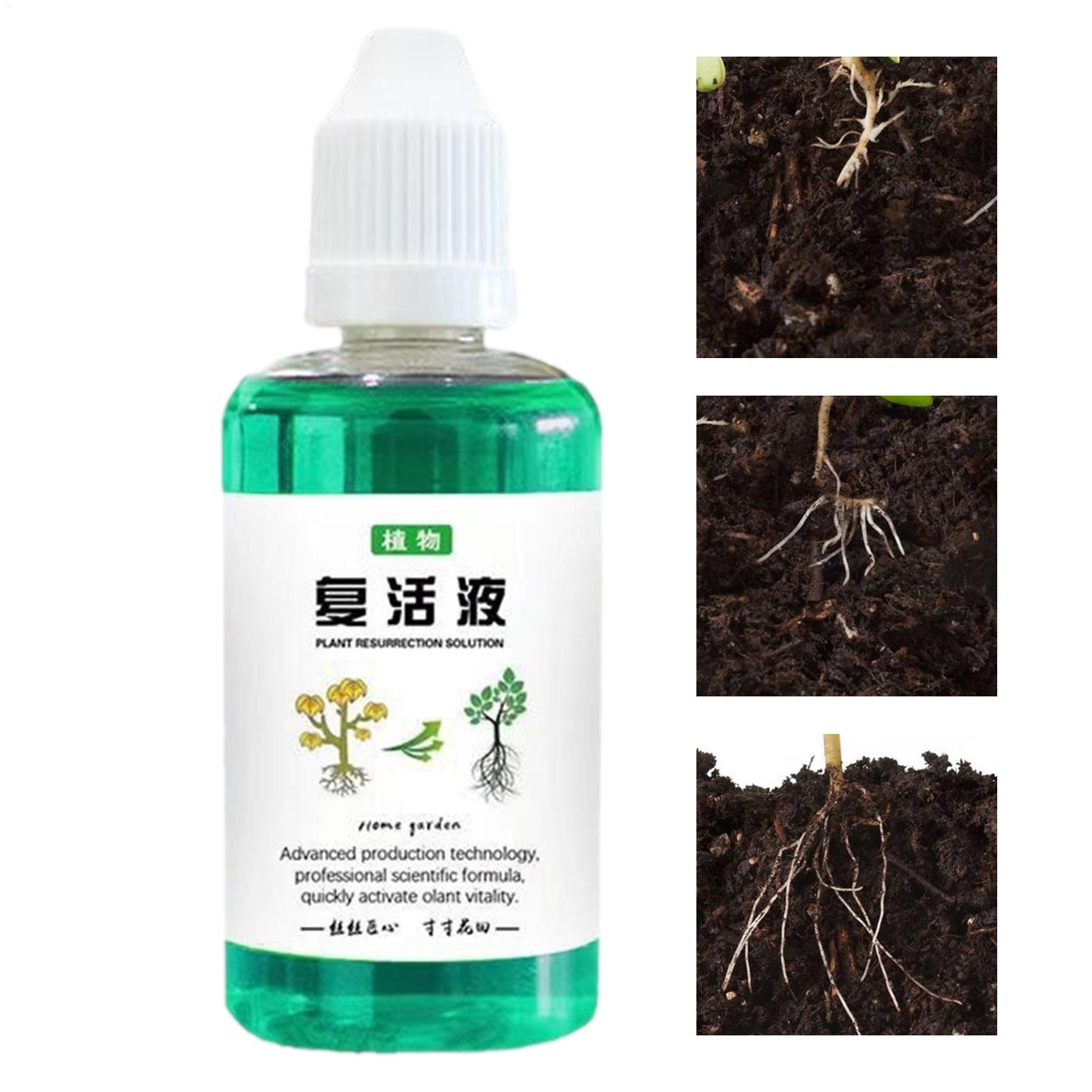 Root Stimulator For Plants 50m - Root Stimulator Liquid recension och pris