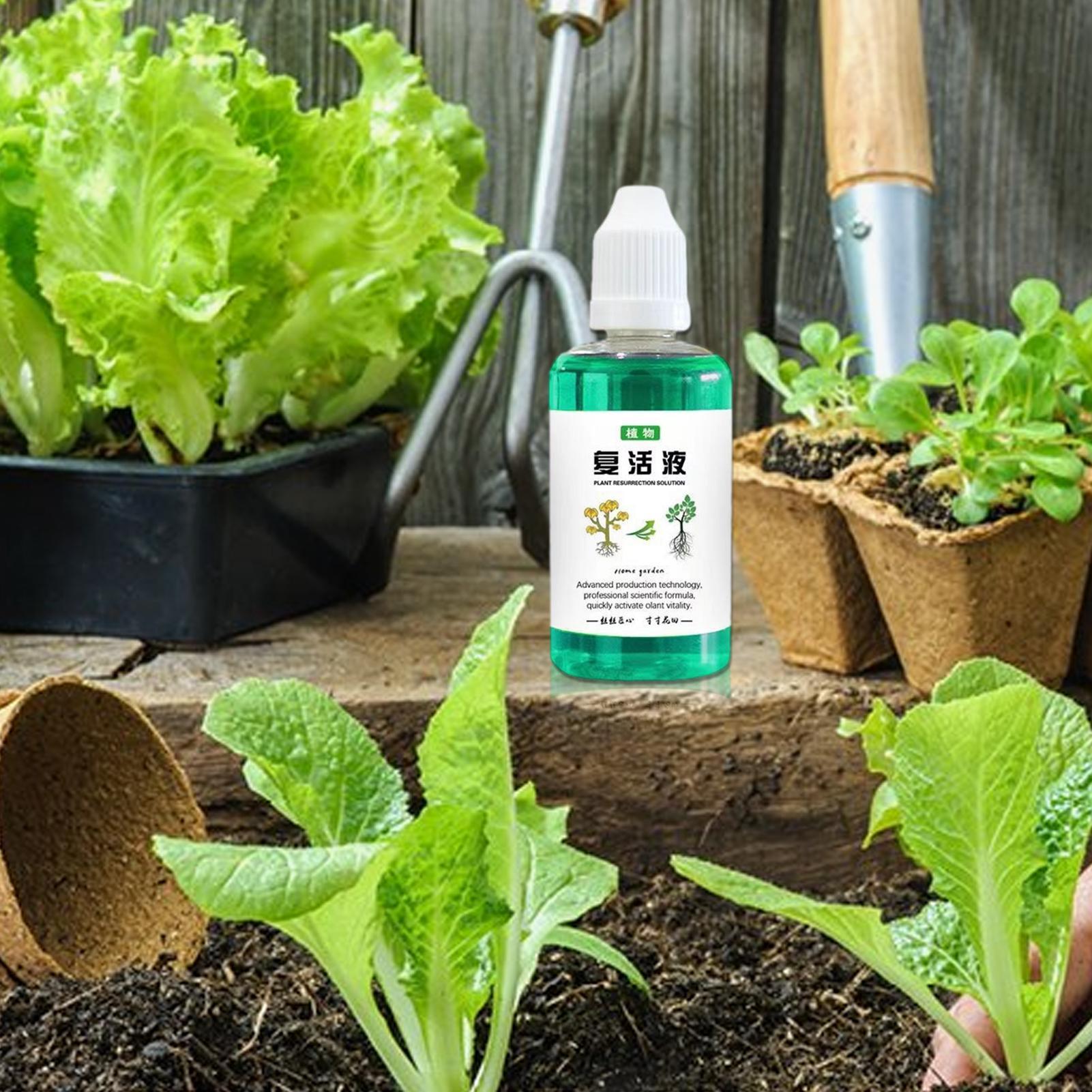 Root Stimulator For Plants 50m - Root Stimulator Liquid recension och pris